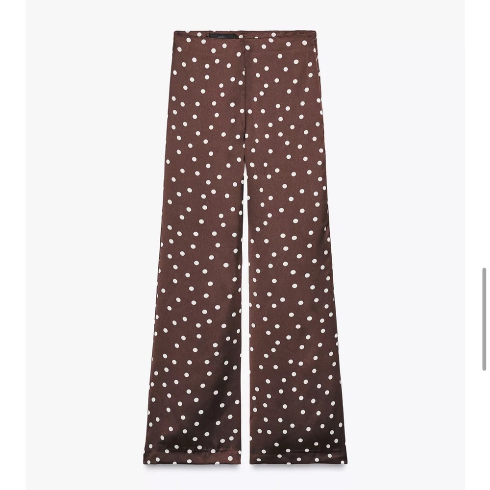 Zara Brown Polka Dot Pants